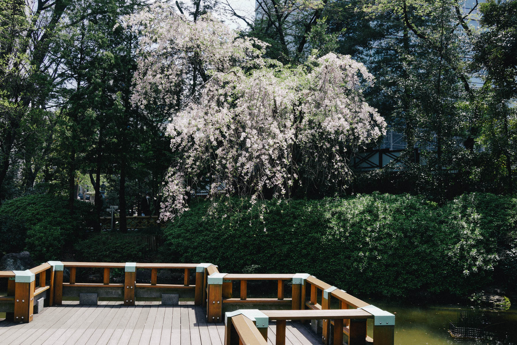 Japan’17 – day 7