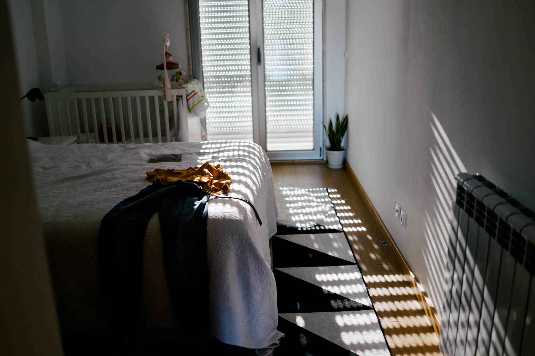 A photo/day.